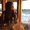 Photo of Samira C.