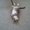 Photo of Austin H.