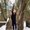 Photo of Stephany R.