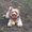 Photo of Silverio D.