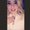 Photo of Kilea T.