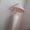 Photo of Skyylar O.