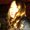 Photo of Julie A.