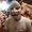 Photo of Hanquan Q.