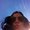 Photo of Hollye B.