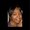 Photo of Laveen S.