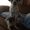 Photo of Contessa P.