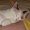 Photo of Jazz E.