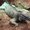 Photo of Qype User (unterb…)