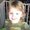 Photo of Natalie H.
