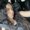 Photo of Angelin B.