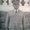 Photo of Syed A.