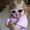 Photo of Amber J.