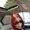 Photo of Cindy S.