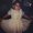 Photo of Lorena H.