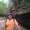Photo of Aamir Z.