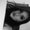 Photo of Estefania D.