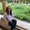Photo of Liz T.
