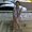Photo of Irem C.