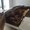 Photo of Sam E.
