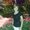 Photo of Janette C.