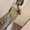Photo of Tamesha H.