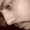 Photo of Carmelo M.