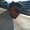 Photo of Niraj P.