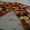 Photo of soob c.