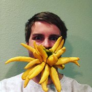 google avatar