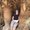 Photo of Debi C.