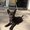 Photo of Cat L.