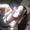 Photo of Jessika B.