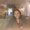 Photo of Naya H.
