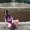 Photo of Kayla B.