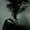 Photo of Aime L.