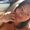 Photo of Gabriela M.