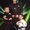 Photo of Brenley G.