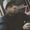 Photo of Hassan M.