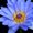 Photo of Seeds Of Kindness A.