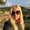 Photo of Sarah S.