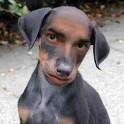google avatar