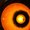 Photo of S P.