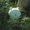 Photo of Chansey H.