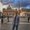 Photo of Arman S.