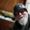 Photo of Greg M.