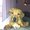Photo of Qype User (WanjaM…)
