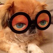 google avatar