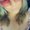 Photo of Aracely R.