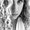 Photo of Jillian S.